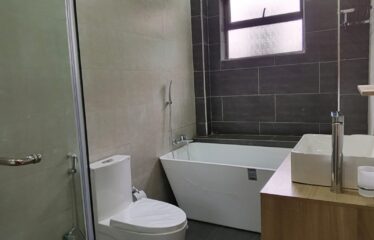 MODERN  2-BEDROOMS  APARTMENT  FOR RENT  IN KILIMANI , NAIROBI .