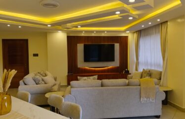 MODERN  2-BEDROOMS  APARTMENT  FOR RENT  IN KILIMANI , NAIROBI .