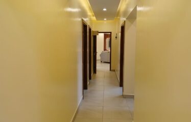 MODERN  2-BEDROOMS  APARTMENT  FOR RENT  IN KILIMANI , NAIROBI .