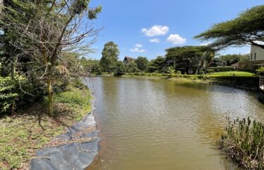 Luxury 5-Bedroom Villa with DSQ for Sale in Karen, Nairobi