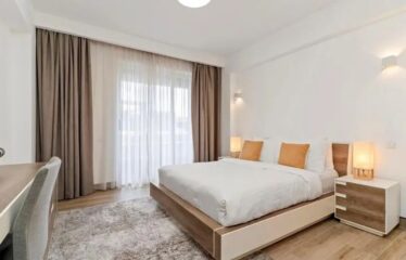 Luxury 2 Bedroom Fully Furnished Apartment for Rent in Kilimani, Nairobi