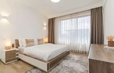 Luxury 2 Bedroom Fully Furnished Apartment for Rent in Kilimani, Nairobi