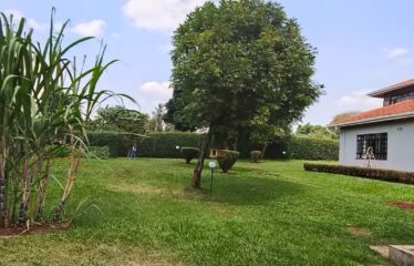 Luxury 5-Bedroom House for Rent in Runda Evergreen,Nairobi.