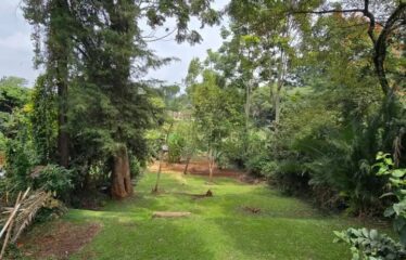 Luxury 4 Bedroom Bungalow with DSQ for Rent in Loresho,Nairobi. | Private garden.