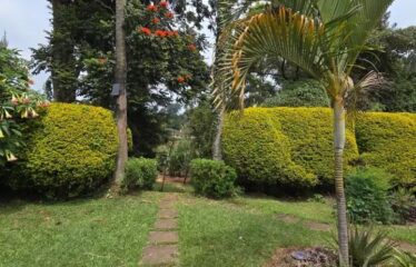 Luxury 4 Bedroom Bungalow with DSQ for Rent in Loresho,Nairobi. | Private garden.