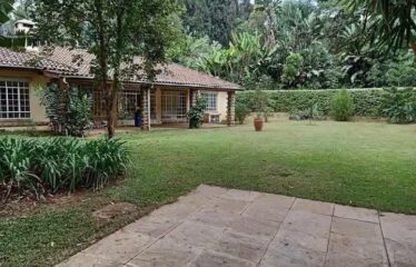 Elegant 3 Bedroom House + SQ for Rent in Ridgeways, Nairobi.