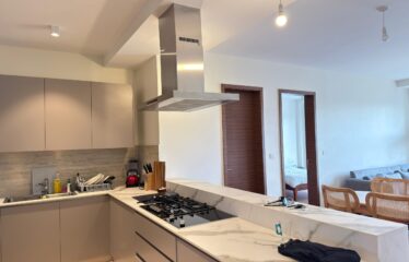 Luxury Furnished & Serviced 2-Bedroom Apartment + DSQ For Rent In Riverside, Nairobi.
