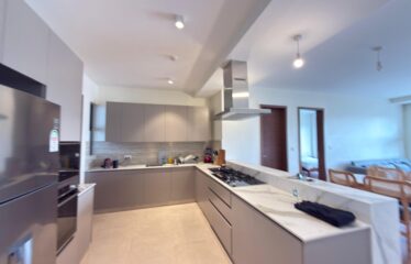 Luxury Furnished & Serviced 2-Bedroom Apartment + DSQ For Rent In Riverside, Nairobi.