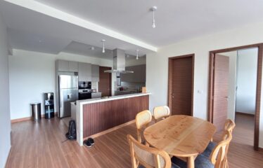 Luxury Furnished & Serviced 2-Bedroom Apartment + DSQ For Rent In Riverside, Nairobi.