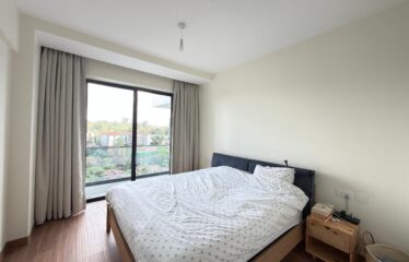 Luxury Furnished & Serviced 2-Bedroom Apartment + DSQ For Rent In Riverside, Nairobi.