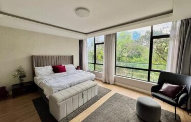 Luxury Fully Furnished 2-Bedroom Apartment for Rent in Brookside, Westlands.