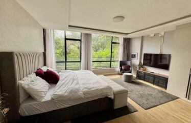 Luxury Fully Furnished 2-Bedroom Apartment for Rent in Brookside, Westlands.