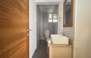 3 Bedrooms apartment all ensuite plus dsq for rent in Kilimani, Nairobi.