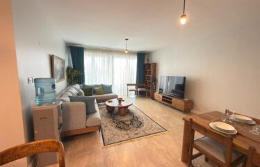 High-End Brand-New Fully Furnished 2-Bedroom Apartment + DSQ for Rent in Kileleshwa,Nairobi.