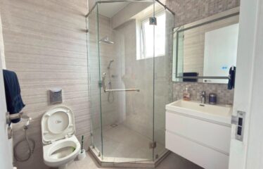 High-End Brand-New Fully Furnished 2-Bedroom Apartment + DSQ for Rent in Kileleshwa,Nairobi.
