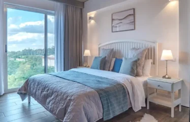 Modern 2-Bedroom Fully Furnished Luxury Apartment for Rent in Kilimani, Nairobi.