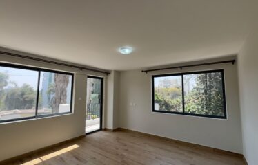 Executive & Spacious 2 and 3-Bedroom Apartments + DSQ to Let in Kileleshwa.