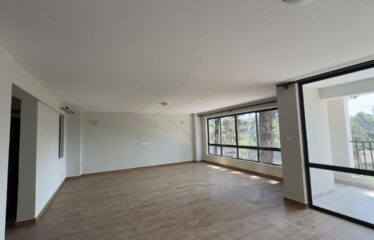 Executive & Spacious 2 and 3-Bedroom Apartments + DSQ to Let in Kileleshwa.
