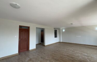 Executive & Spacious 2 and 3-Bedroom Apartments + DSQ to Let in Kileleshwa.