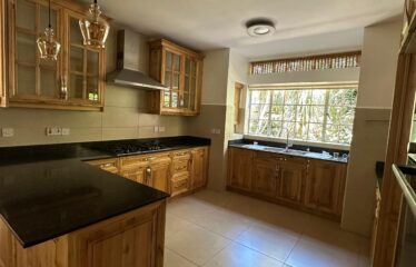 Charming 5-Bedroom Villa with DSQ for Rent in Rosslyn Lone Tree, Nairobi.