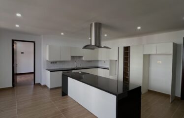 Modern 5-Bedroom Family Home Plus DSQ for Rent in Karen.
