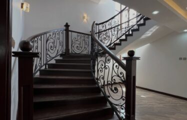 Modern 5-Bedroom Family Home Plus DSQ for Rent in Karen.