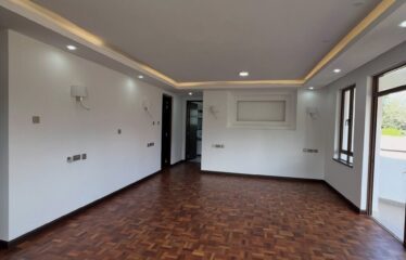 Modern 5-Bedroom Family Home Plus DSQ for Rent in Karen.