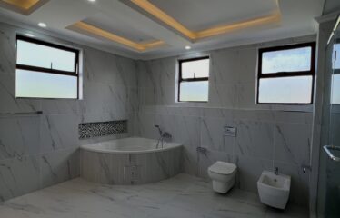 Modern 5-Bedroom Family Home Plus DSQ for Rent in Karen.